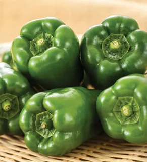 تصویر 2 از فلفل دلمه‌ ای سبز در اندازه‌ های ریز و درشت